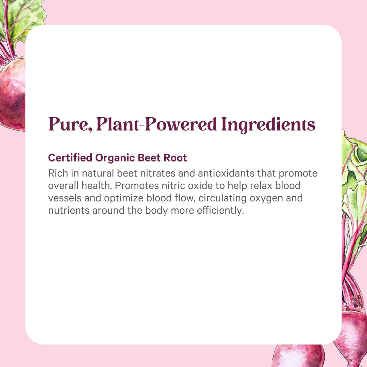 PURE SYNERGY Organic Beet Juice Powder | Pre-Workout Supplement | Organic Beet Root Juice Powder | for Healthy Circulation, Exercise, and Detoxification (6.4 oz.) - dailyvitalstore