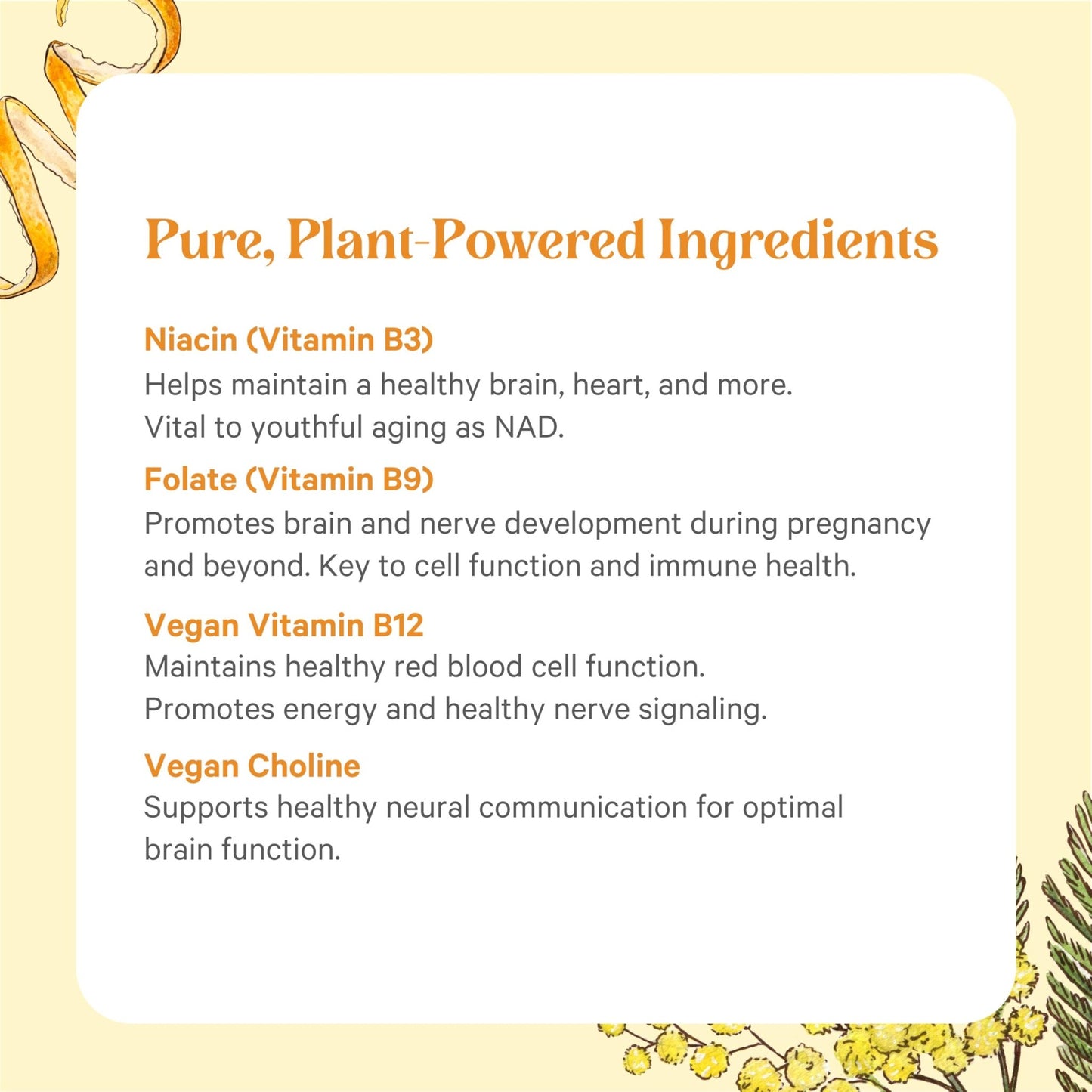 PURE SYNERGY Super B-Complex | Vitamin B Complex Made with Organic Whole Foods | Vegan Supplement with Natural Vitamin B12, Niacin, and Folate | for Energy - dailyvitalstore