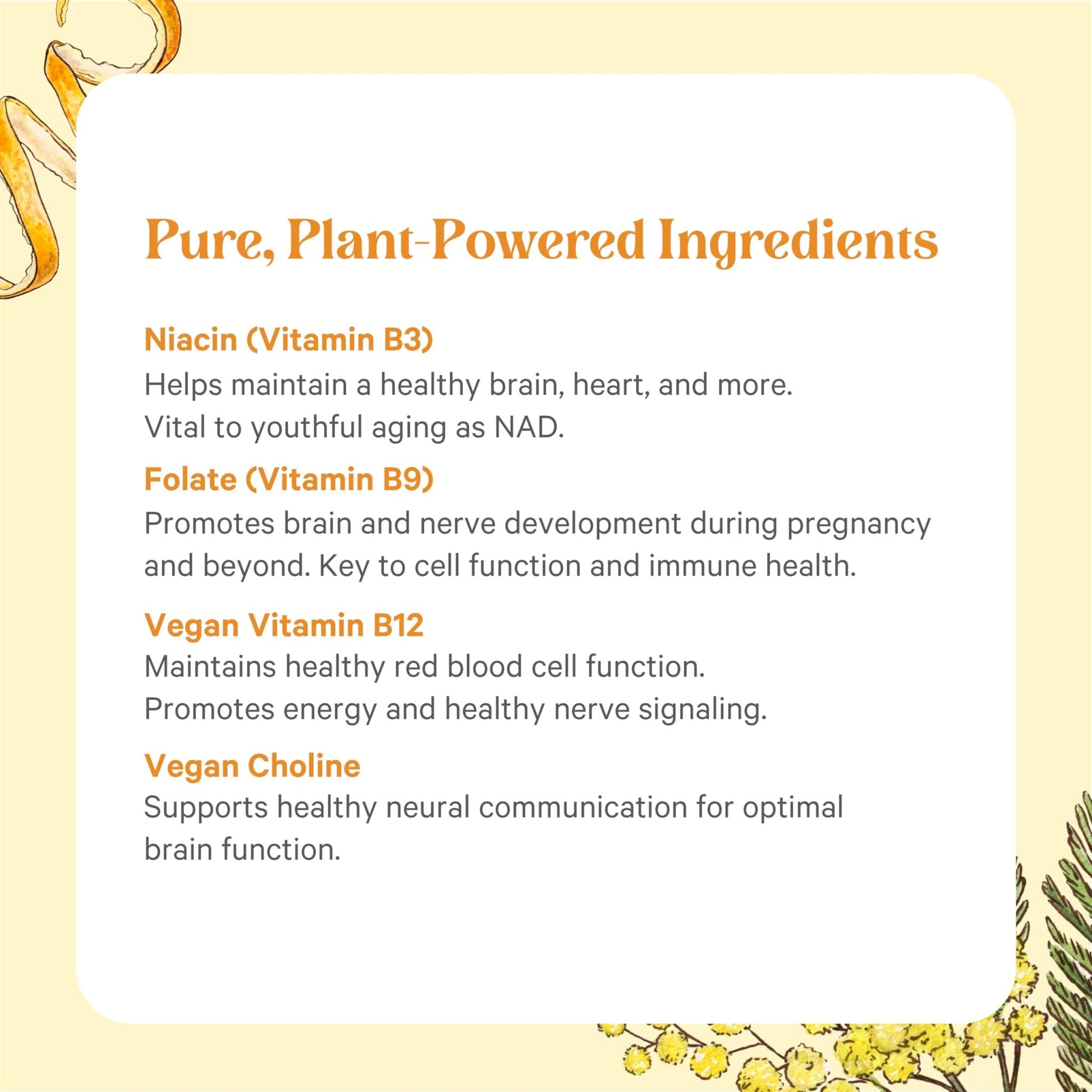 PURE SYNERGY Super B-Complex | Vitamin B Complex Made with Organic Whole Foods | Vegan Supplement with Natural Vitamin B12, Niacin, and Folate | for Energy - dailyvitalstore