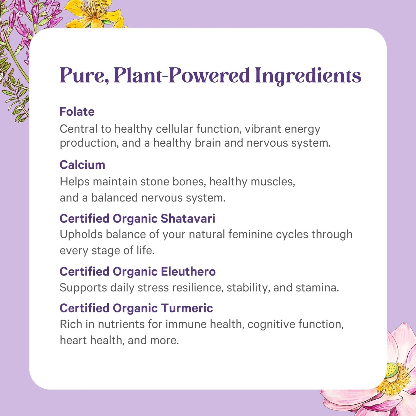 PURE SYNERGY Vita·Min·Herb for Women | Women’s Comprehensive Multivitamin Supplement | Made with Organic Whole Food Non-GMO & Vegan Ingredients | - dailyvitalstore