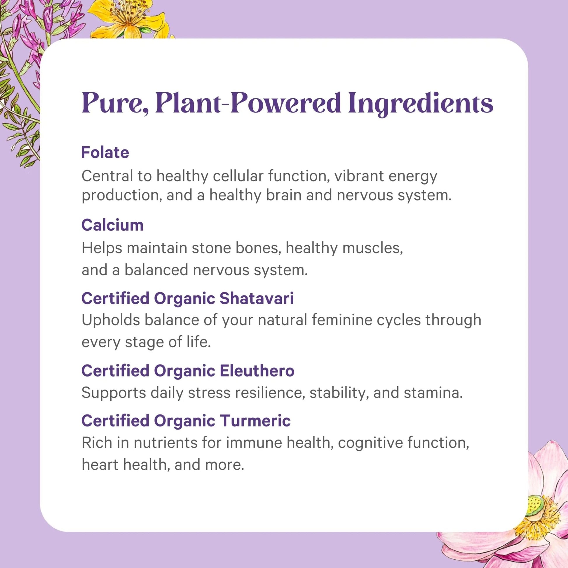 PURE SYNERGY Vita·Min·Herb for Women | Women’s Comprehensive Multivitamin Supplement | Made with Organic Whole Food Non-GMO & Vegan Ingredients | - dailyvitalstore
