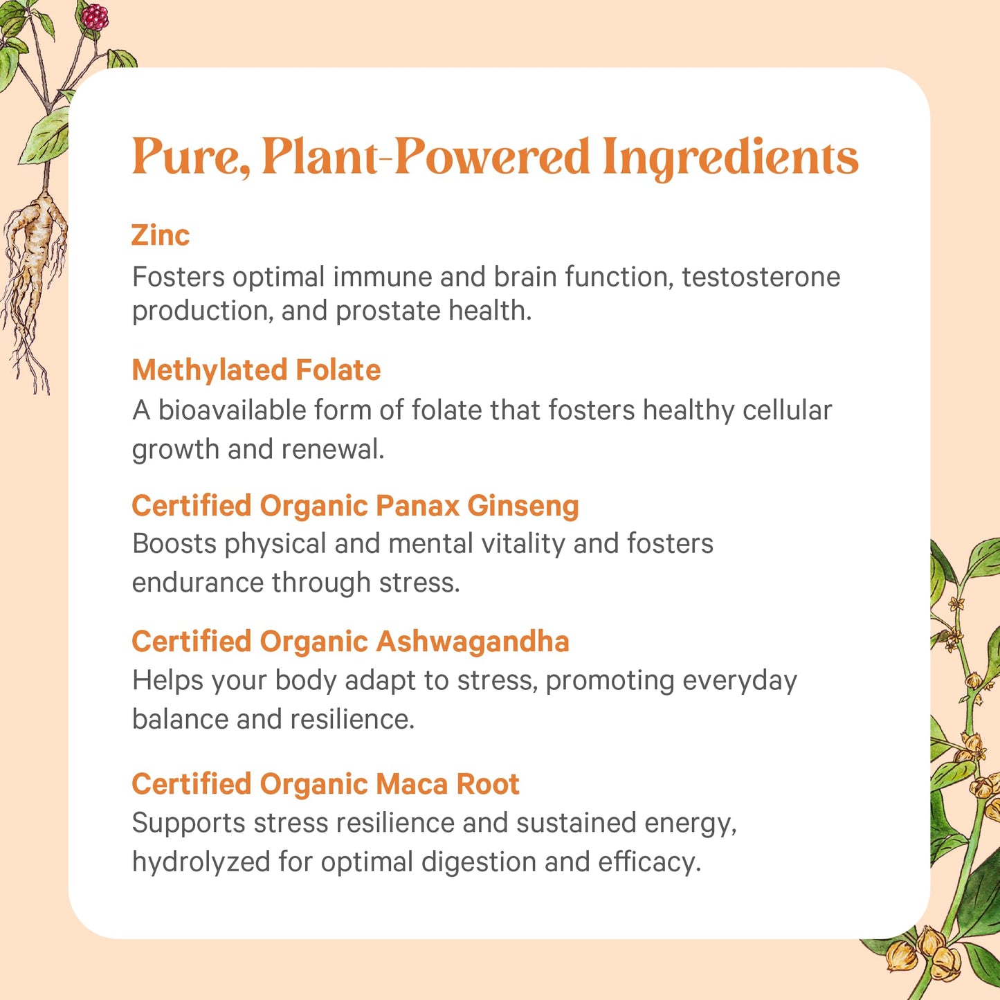PURE SYNERGY Vita·Min·Vitality | Natural Multivitamin for Men | Men’s Daily Multivitamin Made with Organic Whole Foods | for Energy, Stress, and Immune Support (60 Tablets) - dailyvitalstore
