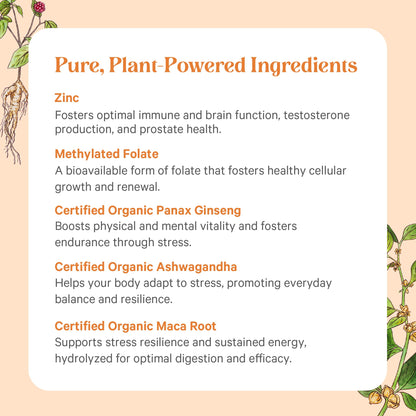 PURE SYNERGY Vita·Min·Vitality | Natural Multivitamin for Men | Men’s Daily Multivitamin Made with Organic Whole Foods | for Energy, Stress, and Immune Support (60 Tablets) - dailyvitalstore