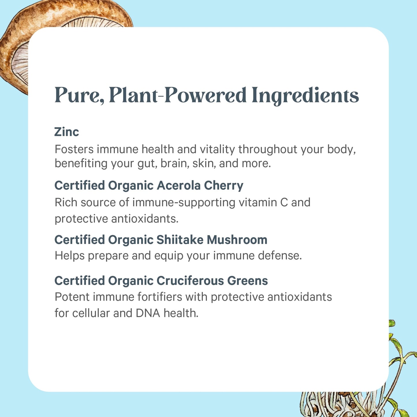 PURE SYNERGY Zinc Complex | Immune Support Supplement | Natural, Vegan Zinc Complex with Vitamin C and Organic Whole Foods | for Immune - dailyvitalstore