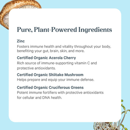 PURE SYNERGY Zinc Complex | Immune Support Supplement | Natural, Vegan Zinc Complex with Vitamin C and Organic Whole Foods | for Immune - dailyvitalstore