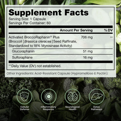 Pure Therapro Rx OncoProtect ES HIGH DOSE Sulforaphane Supplement, Made in USA | 2 Month Supply | 706 mg Patented Activated BroccoRaphanin Broccoli Seed Extract | Glucoraphanin + Myrosinase - dailyvitalstore