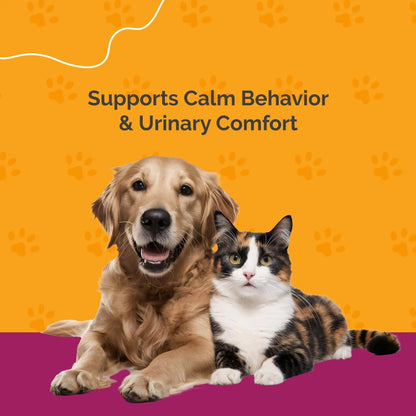 PureCat Urinary Tract Infection Care for Cat & Dog | Calming Urinary Tract & Kidney Support for Pets | Bladder Infection Treatment | UTI Drops | Veterinarian Recommended - dailyvitalstore