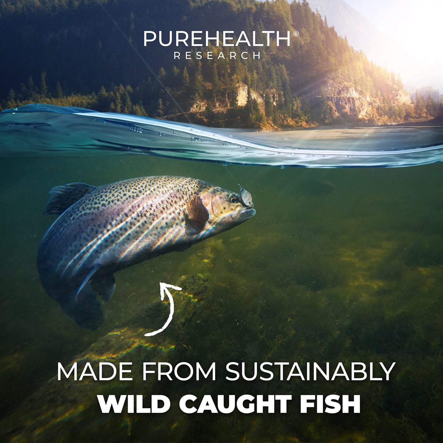 PUREHEALTH RESEARCH Complete Omega 3 Fish Oil Softgels - Omega-3 Fatty Acid Supplements- EPA DHA Supplement - Non-GMO- 90 Soft Gels - dailyvitalstore