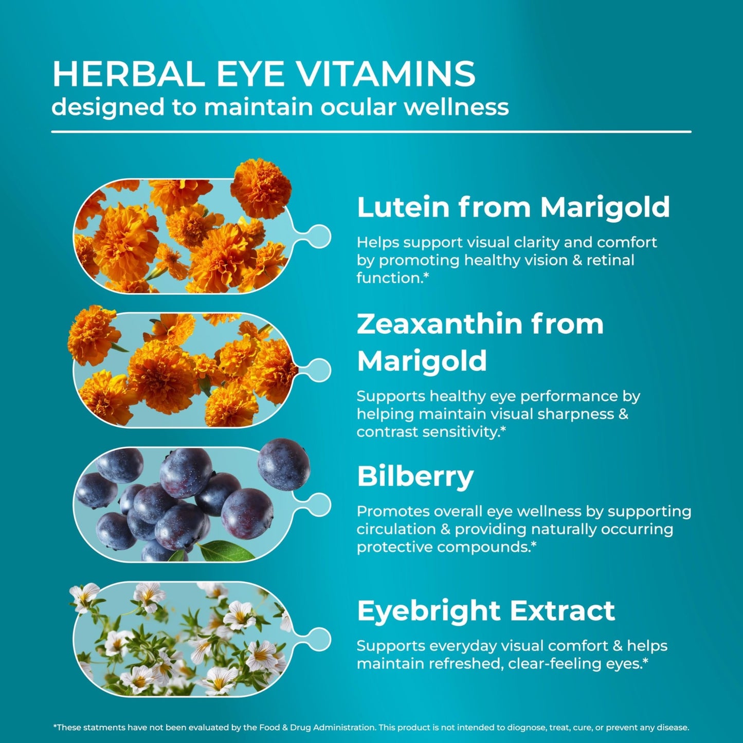 PUREHEALTH RESEARCH Complete Vision Formula - Eye Vitamins & Mineral Supplement - Lutein and Zeaxanthin Supplements for Men & Women - with Eyebright Herb, Zinc, - dailyvitalstore