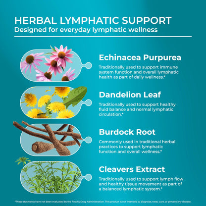 PUREHEALTH RESEARCH Lymph System Support - Lymphatic Drainage Supplement for Women & Men - Bromelain, Echinacea, Dandelion, Burdock Root, Lemon Powder, Kelp, Cleavers & More - 60 Capsules - dailyvitalstore
