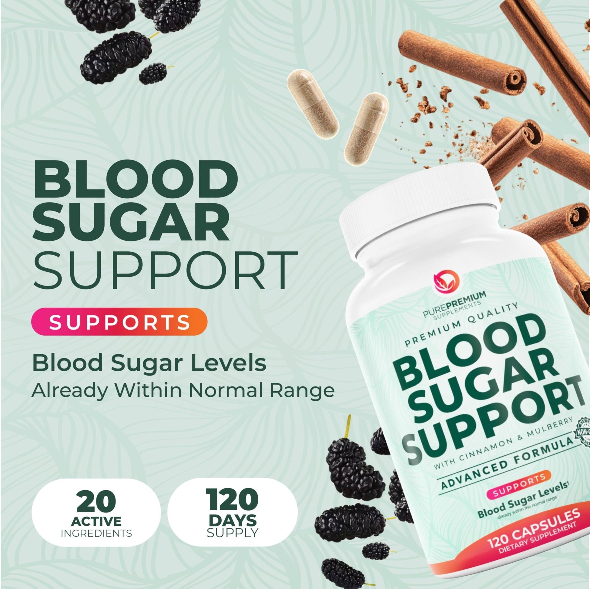 PurePremium Normal Blood Sugar Support Supplement - 20 Active Ingredients Complex to Support Blood Sugar Levels Already in The Normal Range - with Cinnamon - dailyvitalstore