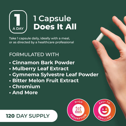 PurePremium Normal Blood Sugar Support Supplement - 20 Active Ingredients Complex to Support Blood Sugar Levels Already in The Normal Range - with Cinnamon - dailyvitalstore