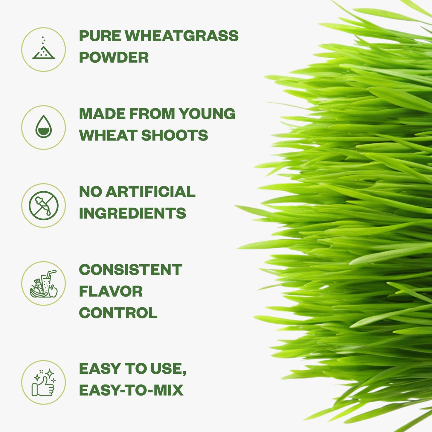 Purisure Wheatgrass Powder, 8oz, Wheat Grass Powder, Green Superfood for Salads, Smoothie and Shakes, Superfood Powder Rich in Immunity Vitamins, Fiber and Minerals, 76 Servings - dailyvitalstore