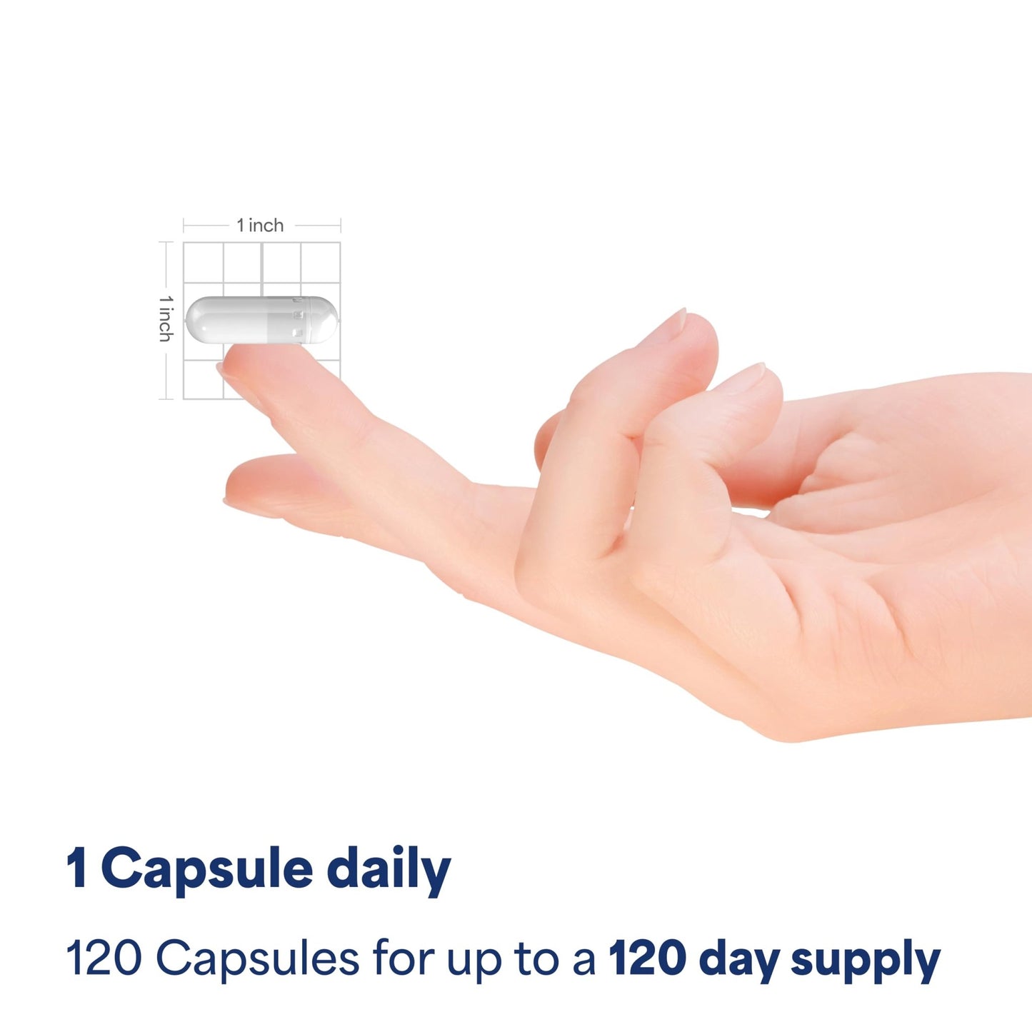 Puritan's Pride Triple Magnesium Complex with Magnesium Oxide, Aspartate, and Citrate 400mg, Dietary Supplement for Muscle, Heart, Nerve, and Bone Support, 120 Rapid Release Capsules - dailyvitalstore