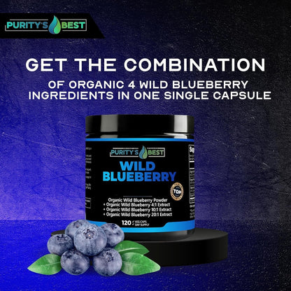 Purity’s Best Wild Blueberry Extract, Rich in Flavonoids & Anthocyanins, Antioxidant Support for Brain & Heart Health, 4-Month Supply - dailyvitalstore