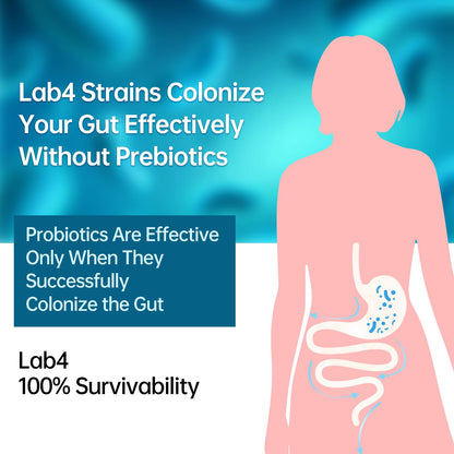 purmeo Probiotics for IBS Anti Diarrhea, Gas, Bloating - Support Immune, Digestive & Gut Health - Clinical Proven Lab4 Strains IBS-D Supplement 20 Billion CFU, - dailyvitalstore