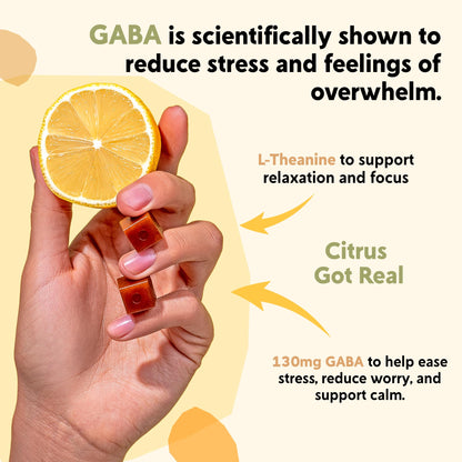PYM Citrus Mood Chews Support for Stress, Worry & Overwhelm, 120 Count | 130mg GABA, 90mg L-Theanine | Vegan, Non-GMO, Gluten-Free, No Added Sugar | All-Natural Mood Balance Supplement Made in USA - dailyvitalstore