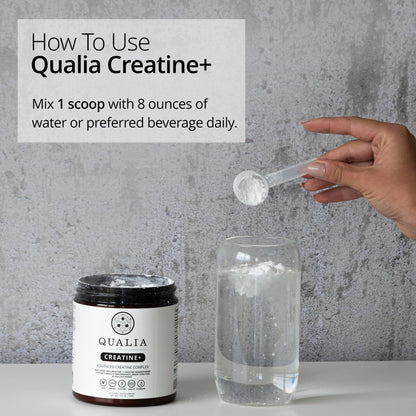 Qualia Creatine | Advanced Creatine Complex | 2 Sources + Magnesium | Optimized Absorption | Muscle Performance, Brain Function, & Healthy Aging (30 Servings) - dailyvitalstore