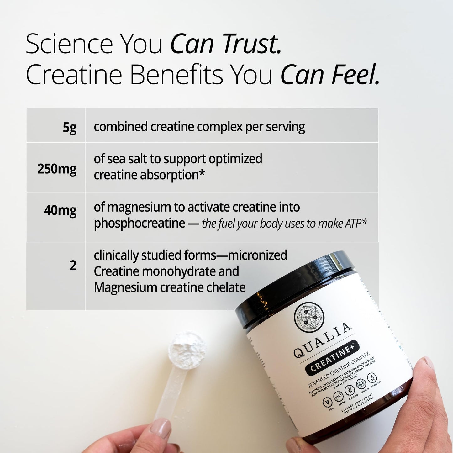 Qualia Creatine | Advanced Creatine Complex | 2 Sources + Magnesium | Optimized Absorption | Muscle Performance, Brain Function, & Healthy Aging (30 Servings) - dailyvitalstore