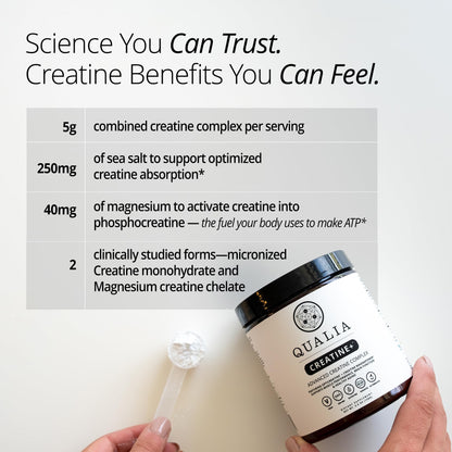 Qualia Creatine | Advanced Creatine Complex | 2 Sources + Magnesium | Optimized Absorption | Muscle Performance, Brain Function, & Healthy Aging (30 Servings) - dailyvitalstore