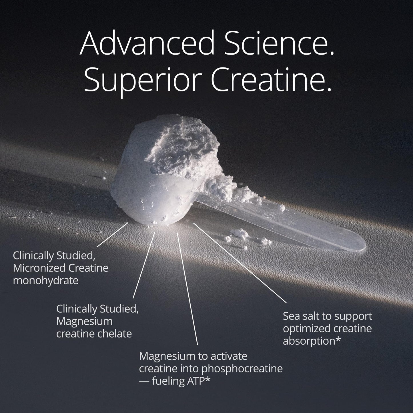 Qualia Creatine | Advanced Creatine Complex | 2 Sources + Magnesium | Optimized Absorption | Muscle Performance, Brain Function, & Healthy Aging (30 Servings) - dailyvitalstore