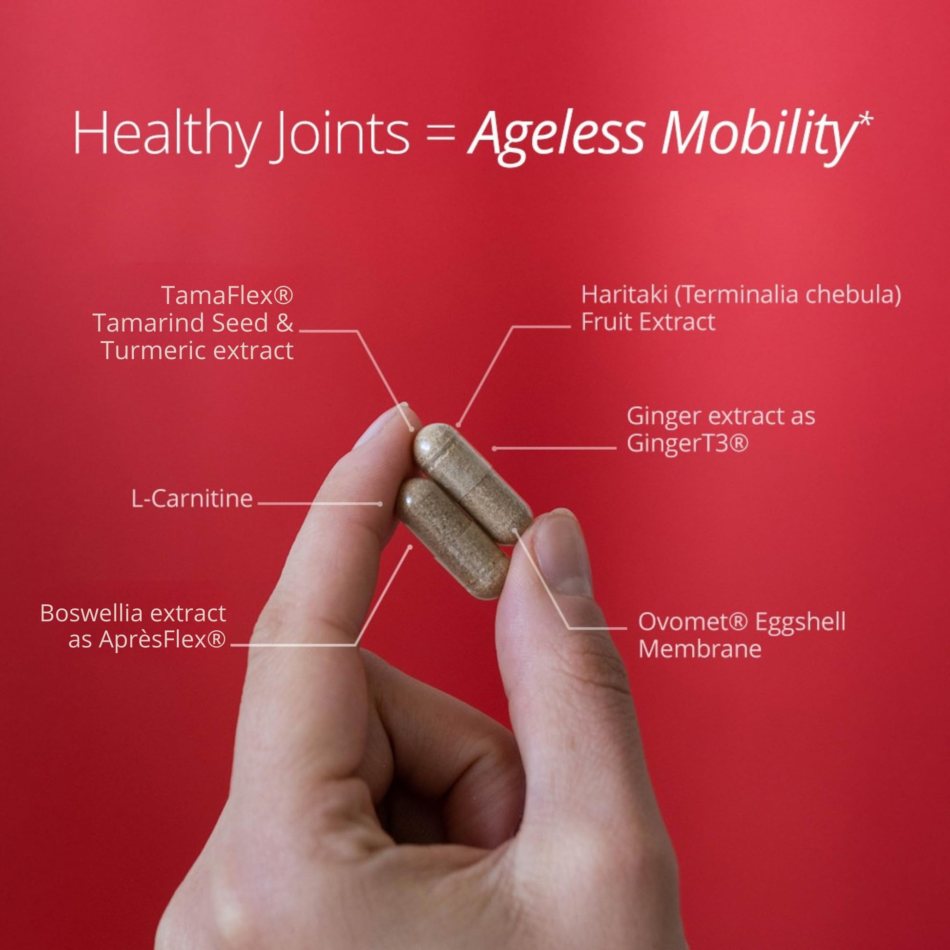 Qualia Joint Health 9 Advanced Joint Health nutrients: denatured Collagen, boswellia, tumeric, Boron, Ginger, L-carnitine. Cartilage Health, Tendon Strength, Healthy Joint Aging (1 Month Supply) - dailyvitalstore