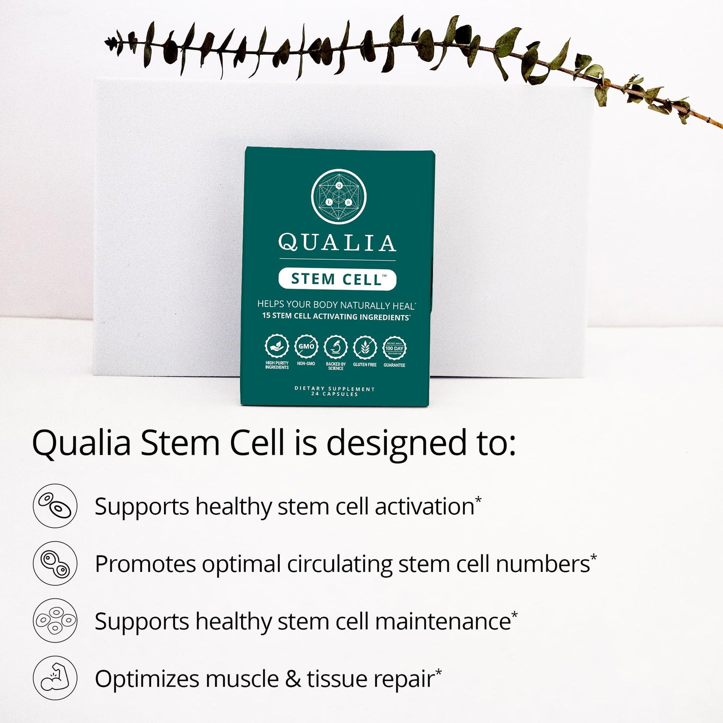 Qualia Stem Cell — Stem Cell Supplement Support with Royal Jelly, Astragalus & Sea Buckthorn | 16 Ingredients | 4 Days a Month | Helps Body Naturally heal* - dailyvitalstore