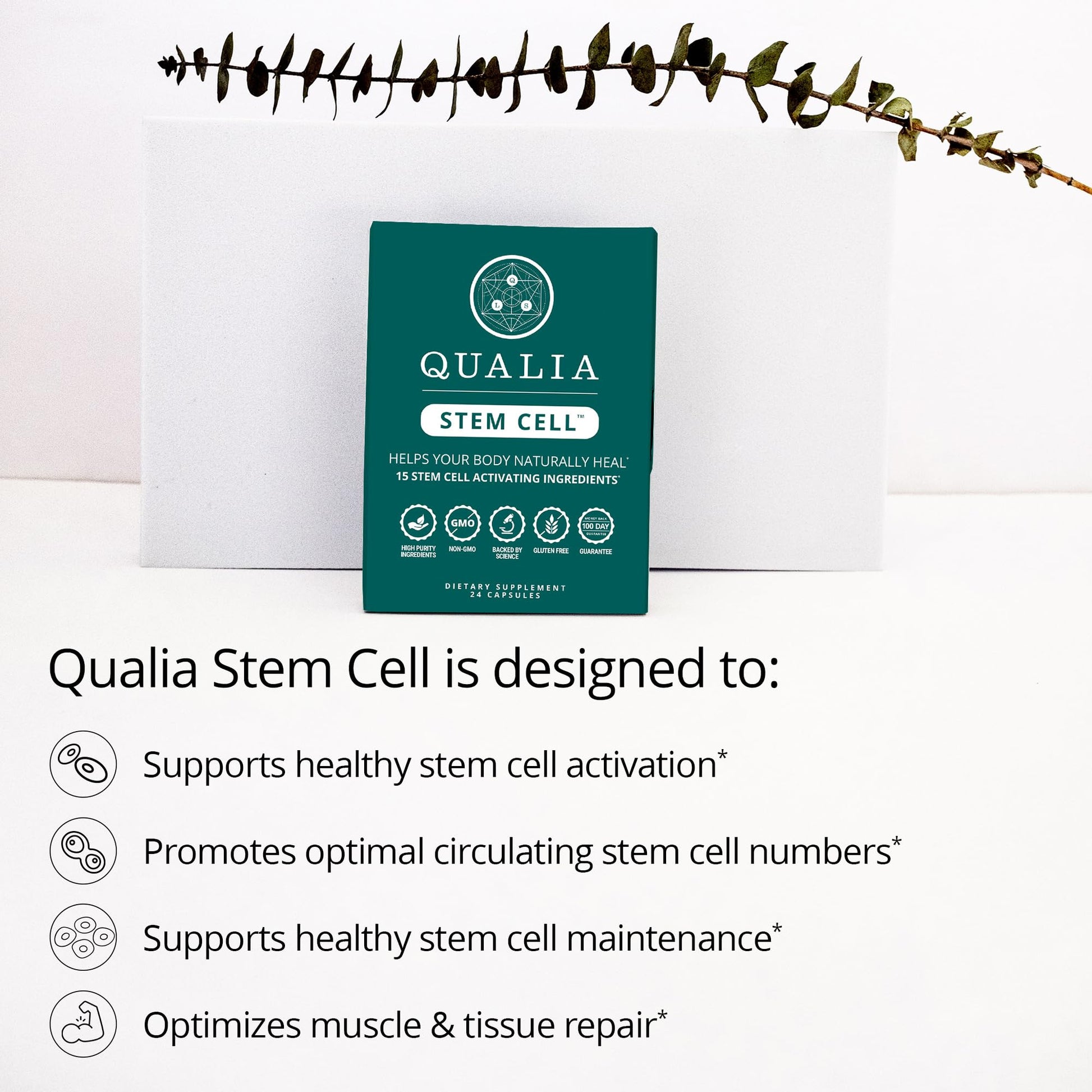 Qualia Stem Cell — Stem Cell Supplement Support with Royal Jelly, Astragalus & Sea Buckthorn | 16 Ingredients | 4 Days a Month | Helps Body Naturally heal* - dailyvitalstore