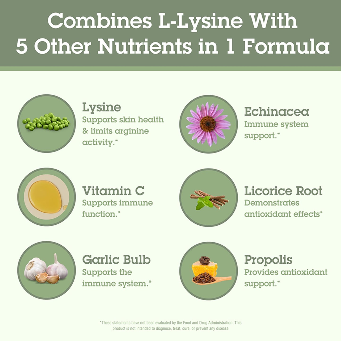 Quantum Health Super Lysine+ / Advanced Formula Lysine+ Immune Support with Vitamin C, Echinacea, Licorice, Propolis, Odorless Garlic (90 Tablets) - dailyvitalstore
