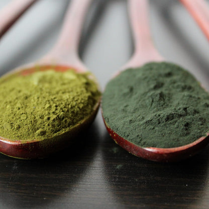 Quantum Nutrition Labs Quantum Fermented Greens- Super Greens Supplement, Superfood Blend, Organic Vitamins with Probiotic - Daily Greens with Spinach, Chlorella - dailyvitalstore