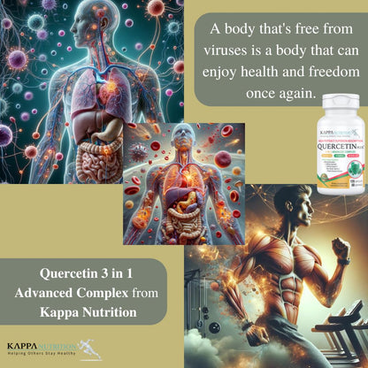 QUERCETIN PLUS, Quercetin 1,000mg, Bromelain 500mg and Vitamin C 1,000mg, (120 Capsules), 3 in 1 from Bioflavonoids, Supports Immune, Cardiovascular & Respiratory Health, Seasonal Allergy Relief. - dailyvitalstore