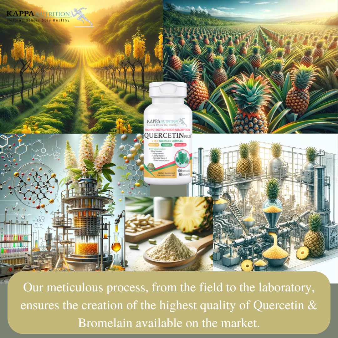 QUERCETIN PLUS, Quercetin 1,000mg, Bromelain 500mg and Vitamin C 1,000mg, (120 Capsules), 3 in 1 from Bioflavonoids, Supports Immune, Cardiovascular & Respiratory Health, Seasonal Allergy Relief. - dailyvitalstore