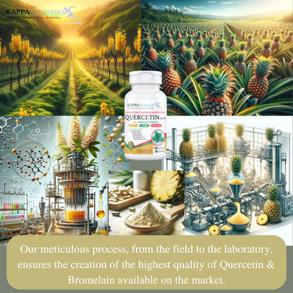 QUERCETIN PLUS, Quercetin 1,000mg, Bromelain 500mg and Vitamin C 1,000mg, (120 Capsules), 3 in 1 from Bioflavonoids, Supports Immune, Cardiovascular & Respiratory Health, Seasonal Allergy Relief. - dailyvitalstore