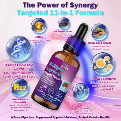 R Alpha Lipoic Acid 600mg Liquid Drops for Neuropathy, Advanced 11-in-1 Stabilized R-ALA Supplement w. Benfotiamine Acetyl L-Carnitine Vitamin C E for Antioxidant Nerve Brain Energy Health Non GMO - dailyvitalstore