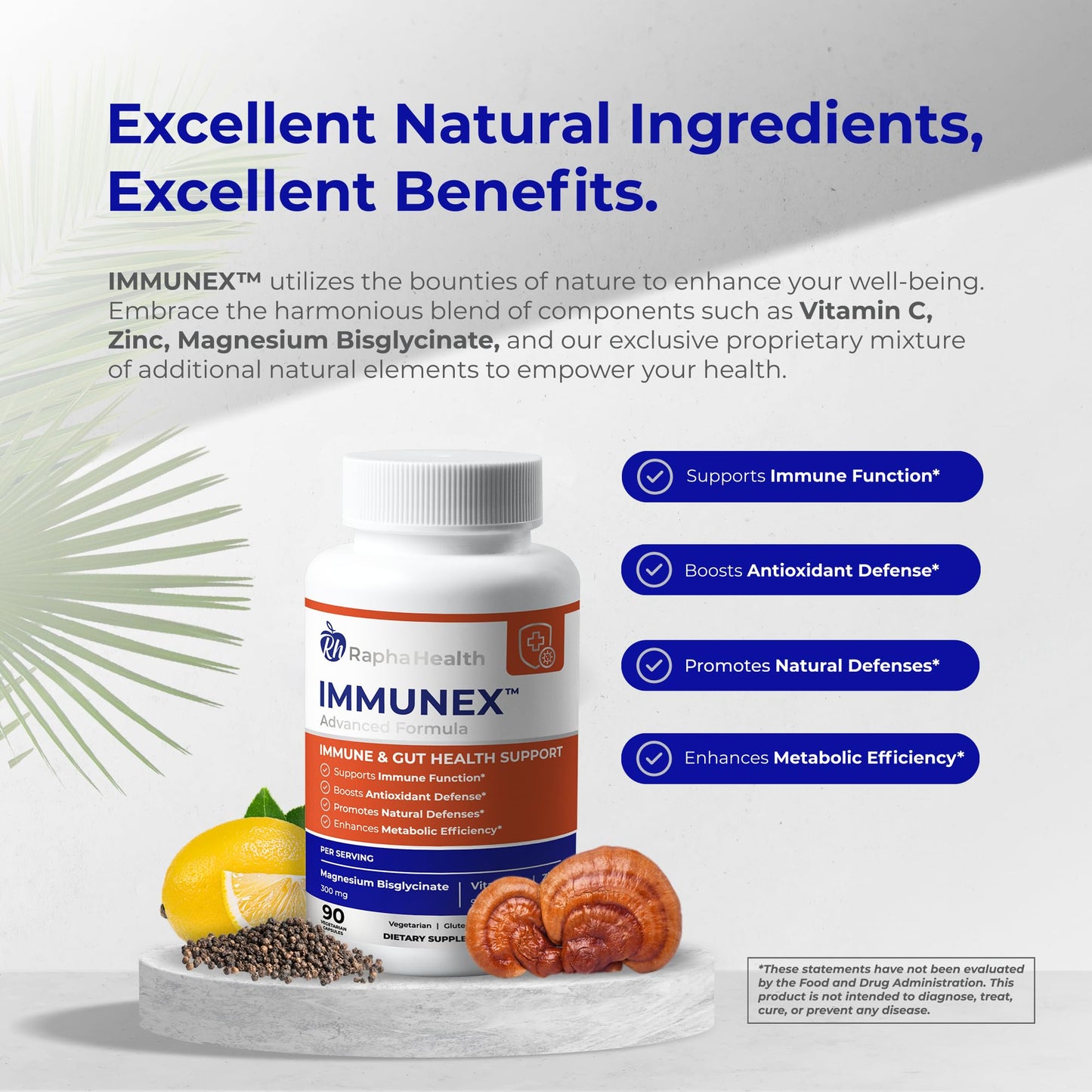 RAPHA HEALTH Immune 247 - Immune and Wellness Support | Gut & Antioxidant Booster | Magnesium, Selenium, Zinc, Vitamin C, Ashwagandha | 90 Capsules - 30 Servings - dailyvitalstore