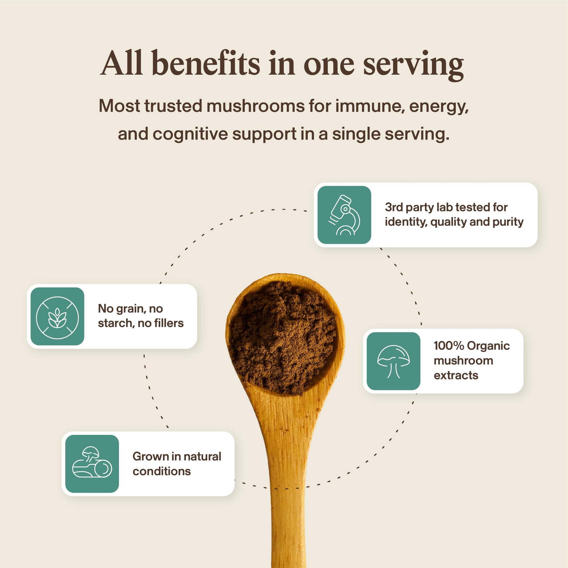 Real Mushrooms 5 Defenders - Adaptogenic Mushrooms Complex with Chaga, Reishi, Turkey Tail, Maitake & Shiitake for Wellness Support - dailyvitalstore