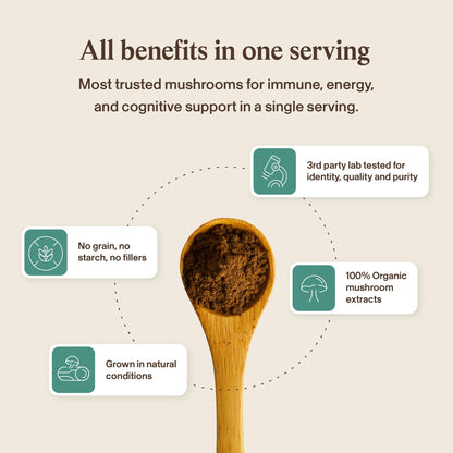 Real Mushrooms 5 Defenders - Adaptogenic Mushrooms Complex with Chaga, Reishi, Turkey Tail, Maitake & Shiitake for Wellness Support - dailyvitalstore