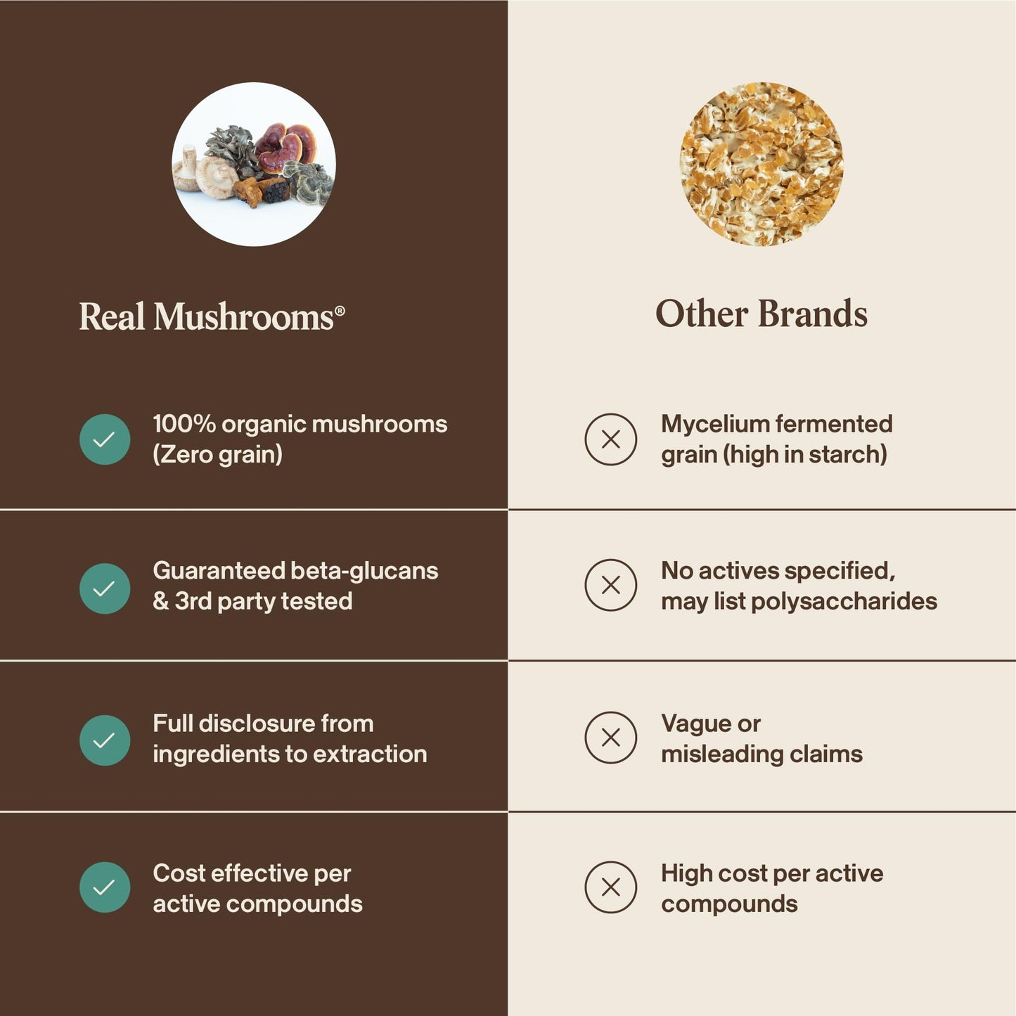 Real Mushrooms 5 Defenders - Adaptogenic Mushrooms Complex with Chaga, Reishi, Turkey Tail, Maitake & Shiitake for Wellness Support - dailyvitalstore