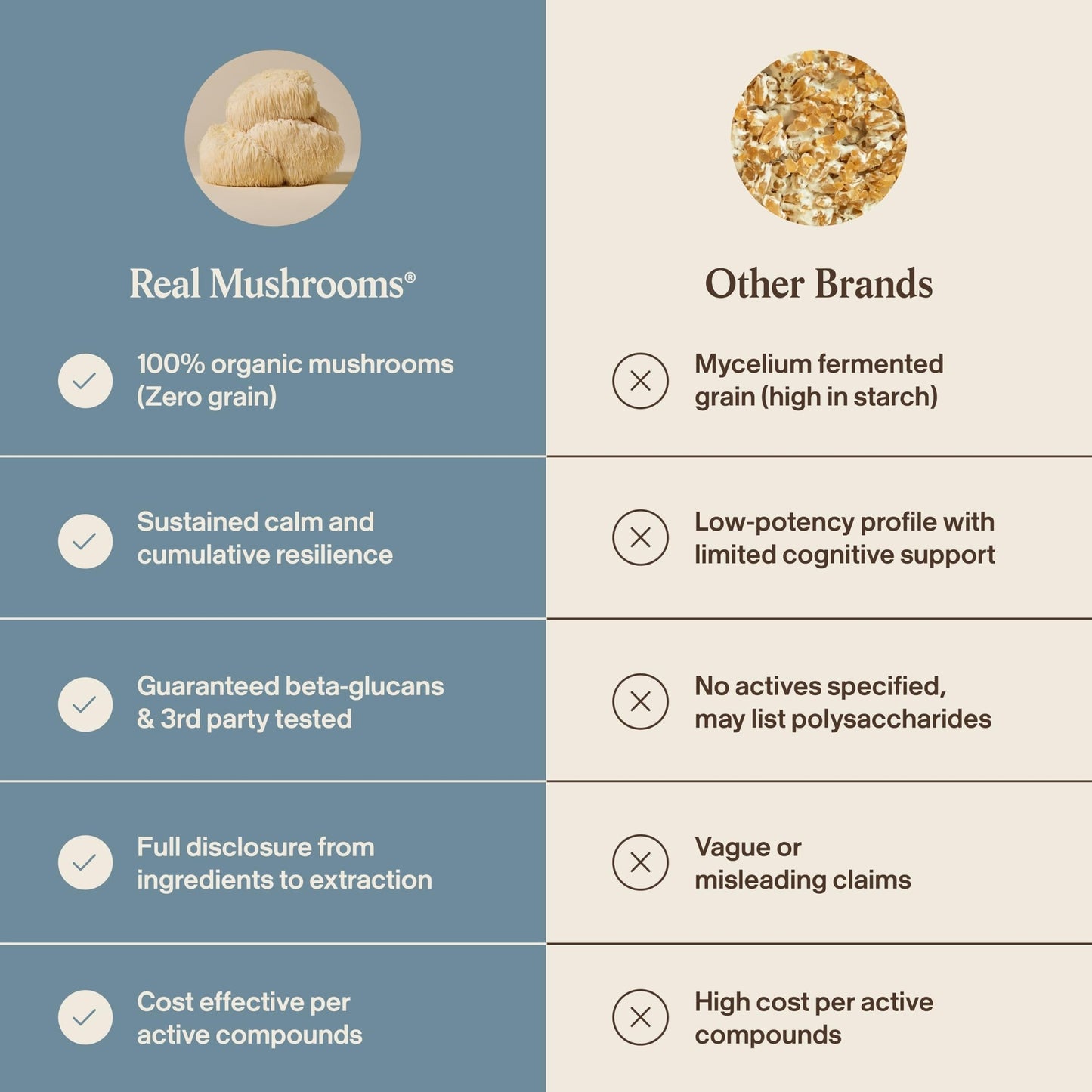 Real Mushrooms Calm Lions Mane Capsules (90 Count) – 400mg Organic Lions Mane Fruiting Body Extracts, 200mg Organic Reishi, 200mg AlphaWave L-Theanine for Calm Clarity & Relaxed Alertness, 90ct - dailyvitalstore