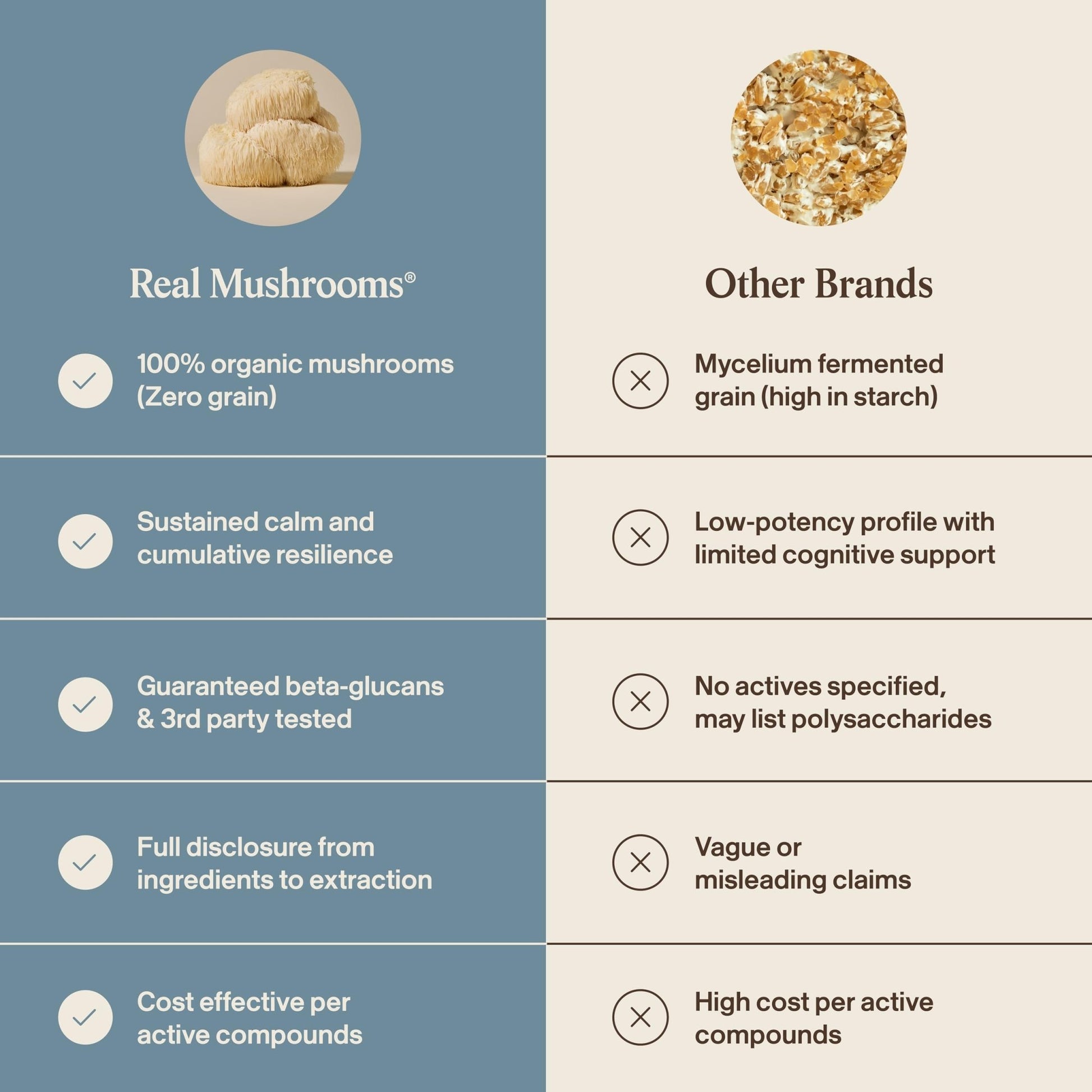Real Mushrooms Calm Lions Mane Capsules (90 Count) – 400mg Organic Lions Mane Fruiting Body Extracts, 200mg Organic Reishi, 200mg AlphaWave L-Theanine for Calm Clarity & Relaxed Alertness, 90ct - dailyvitalstore