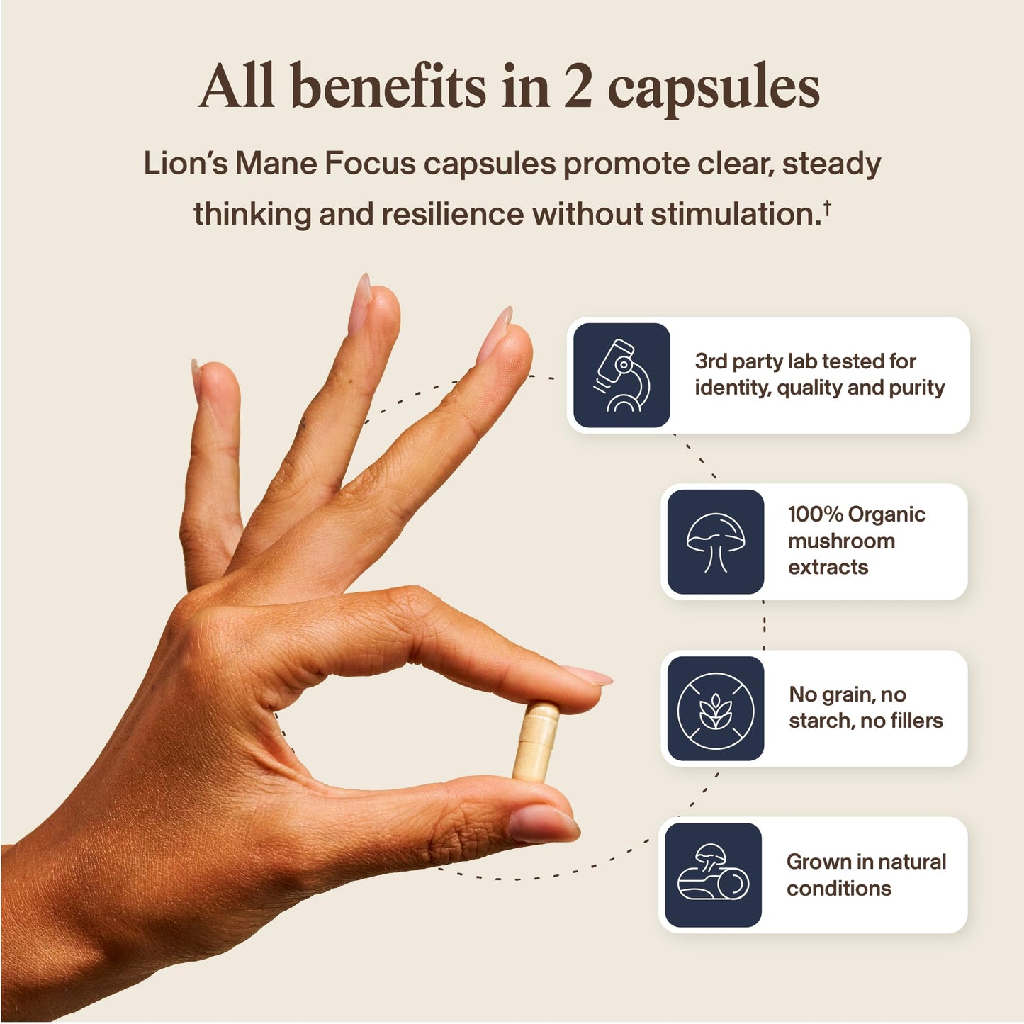Real Mushrooms Lion’s Mane Focus Capsules (90 Count) – Organic Lions Mane Fruiting Body Extracts with 200mg Alpha GPC Choline - dailyvitalstore