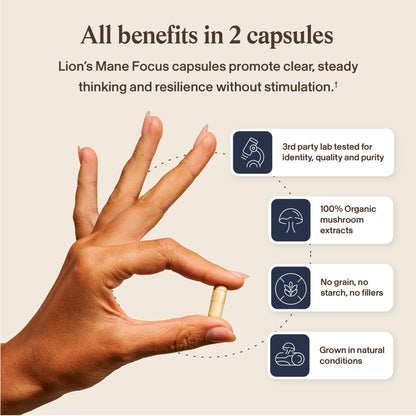 Real Mushrooms Lion’s Mane Focus Capsules (90 Count) – Organic Lions Mane Fruiting Body Extracts with 200mg Alpha GPC Choline - dailyvitalstore