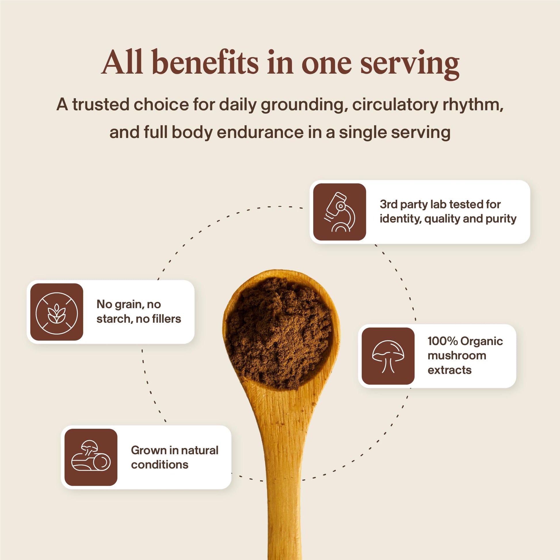 Real Mushrooms Reishi Mushroom Capsules - Handpicked Organic Mushroom Extracts - dailyvitalstore