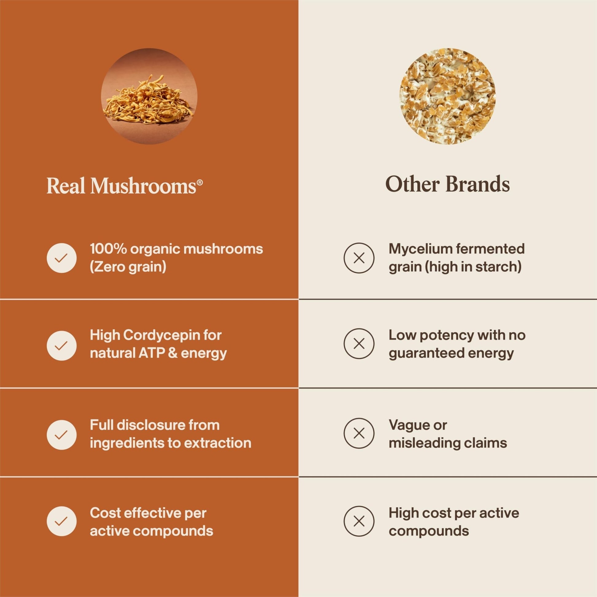 Real Mushrooms Supplement Capsules - Cordyceps Mushroom Powder Rich in Beta Glucans - Mushroom Pills Cordyceps for Energy and Performance - Vegan, Non-GMO, No Grain Fillers, 120 ct - dailyvitalstore
