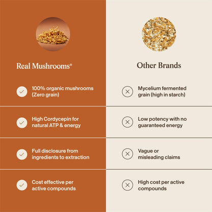 Real Mushrooms Supplement Capsules - Cordyceps Mushroom Powder Rich in Beta Glucans - Mushroom Pills Cordyceps for Energy and Performance - Vegan, Non-GMO, No Grain Fillers, 120 ct - dailyvitalstore