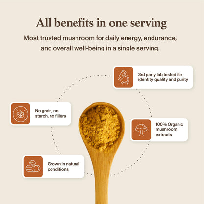 Real Mushrooms Supplement Capsules - Cordyceps Mushroom Powder Rich in Beta Glucans - Mushroom Pills Cordyceps for Energy and Performance - Vegan, Non-GMO, No Grain Fillers, 120 ct - dailyvitalstore