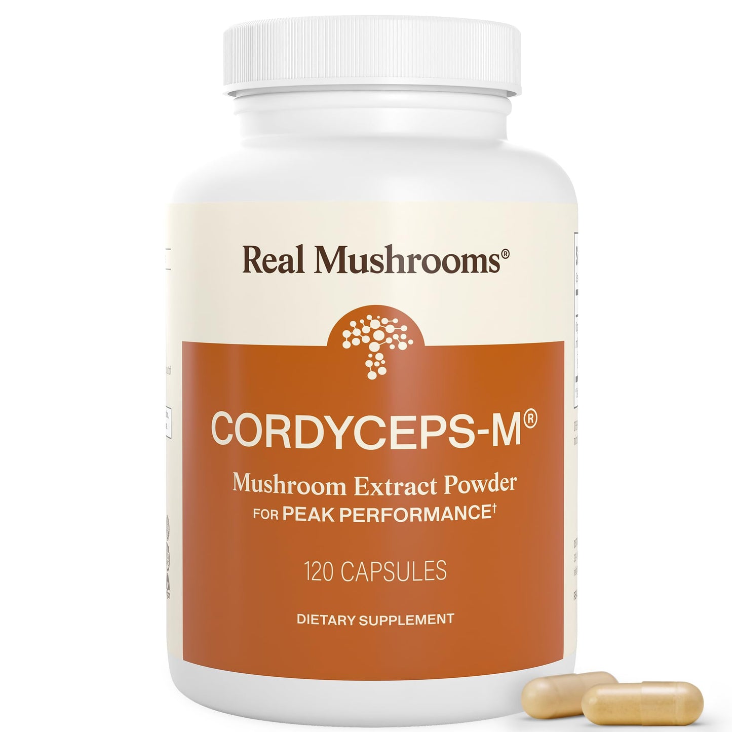 Real Mushrooms Supplement Capsules - Cordyceps Mushroom Powder Rich in Beta Glucans - Mushroom Pills Cordyceps for Energy and Performance - Vegan, Non-GMO, No Grain Fillers, 120 ct - dailyvitalstore