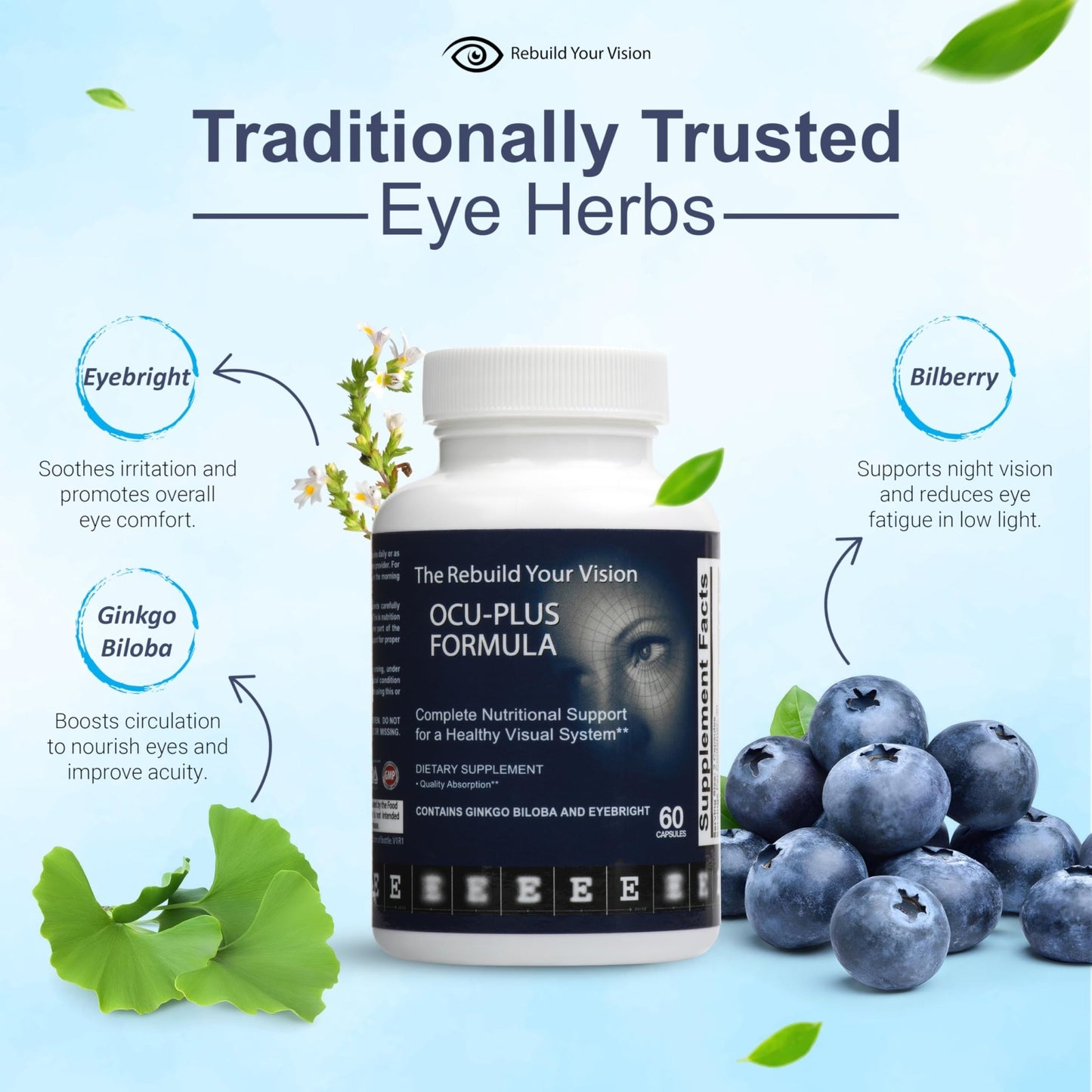 Rebuild Your Vision Ocu-Plus Formula – Eye Health Supplement with Lutein & Zeaxanthin – Supports Visual Clarity, Night Vision & Macular Health – with Bilberry, Ginkgo Biloba & NAC – 60 Capsules - dailyvitalstore