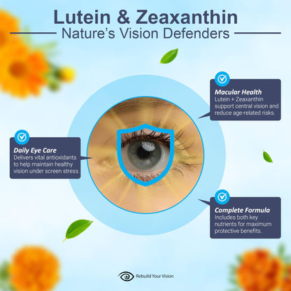 Rebuild Your Vision Ocu-Plus Formula – Eye Health Supplement with Lutein & Zeaxanthin – Supports Visual Clarity, Night Vision & Macular Health – with Bilberry, Ginkgo Biloba & NAC – 60 Capsules - dailyvitalstore