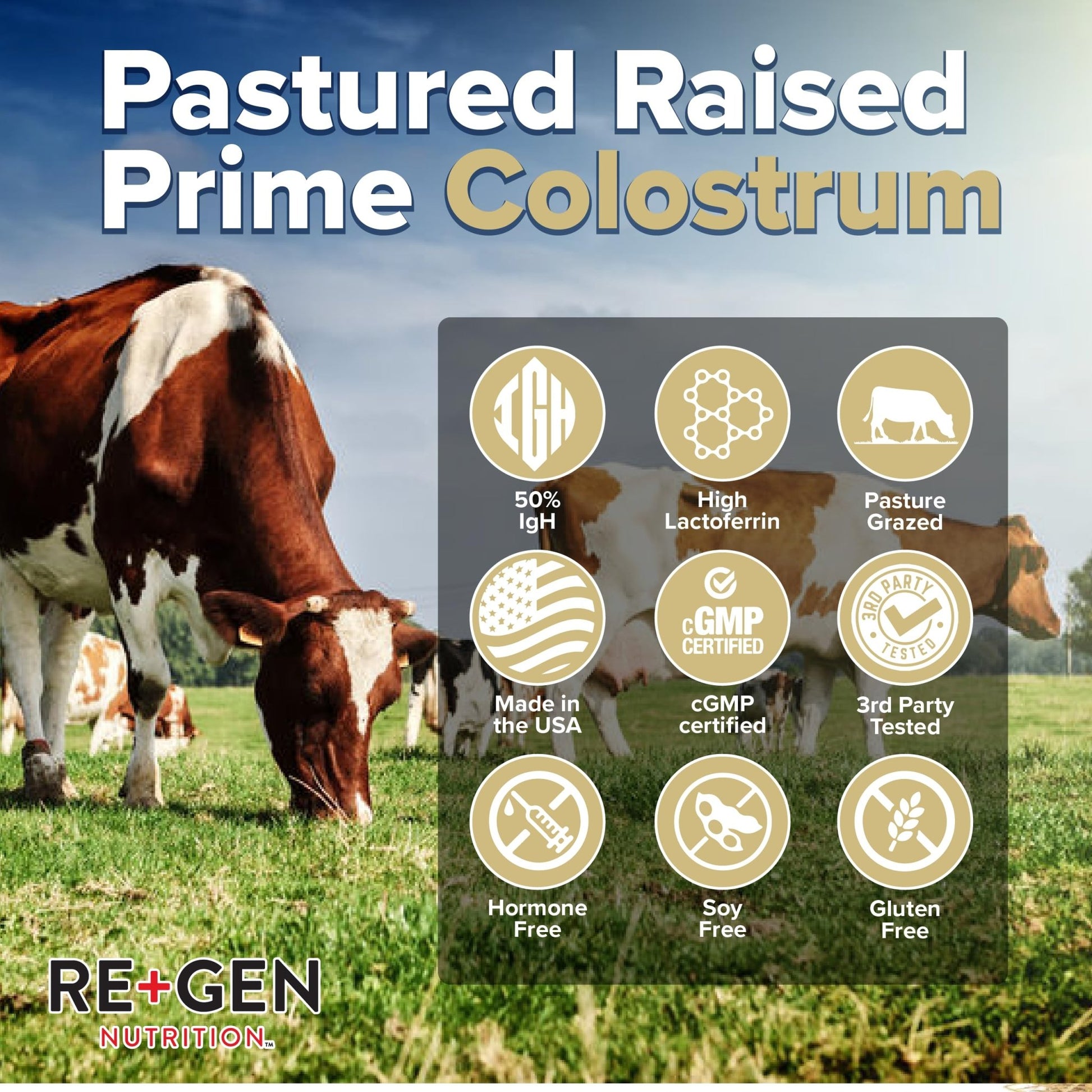 Re+Gen Nutrition Colostrum Gold 50 Bovine Colostrum Powder for Gut Health, Immune Support & Muscle Recovery – 50% IgG Concentration, Grass Fed, Gluten Free, No Artificial Ingredients - dailyvitalstore